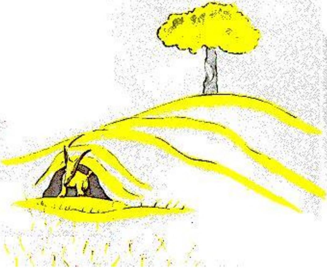 法语 page_47 狐狸驯养"每天你可以坐得离我更近一点"